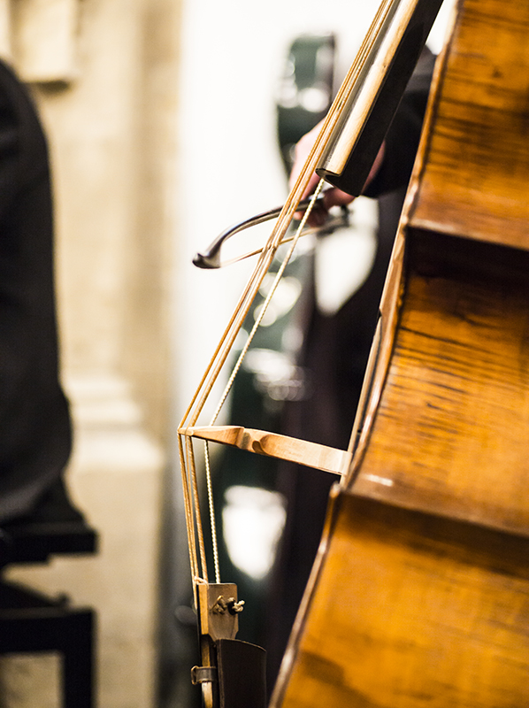 Animal crossing animal crossing text sound effects gesereurope